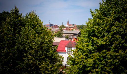 IMG_7206