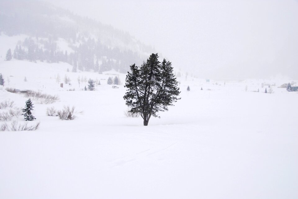 Cold winter nature