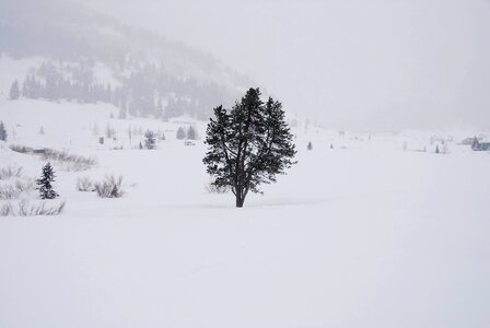 Cold winter nature