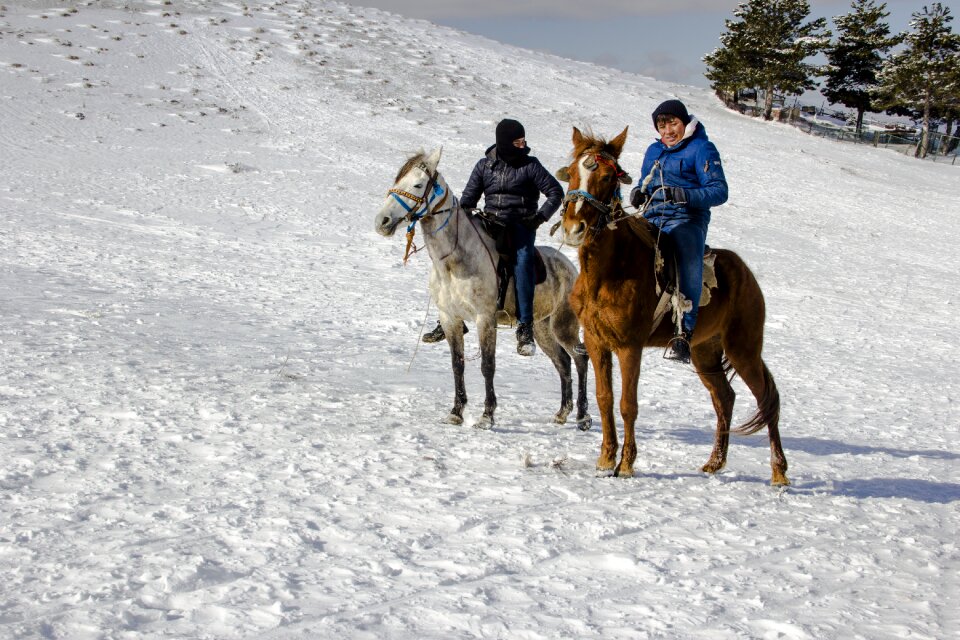 Action sports cold
