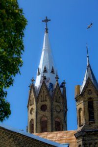 _MG_9207