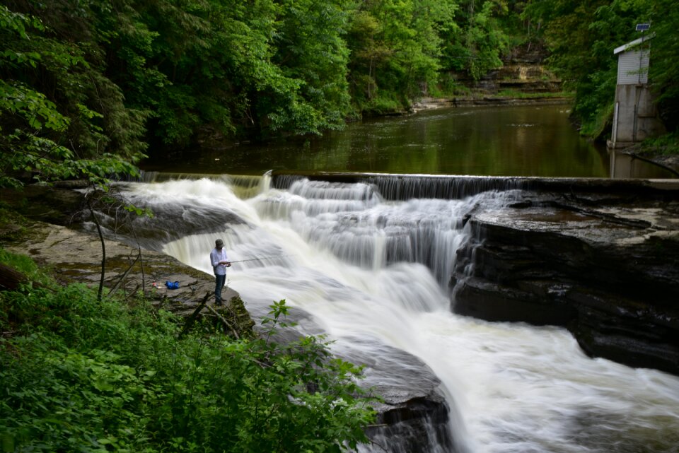 Background stream light photography forest