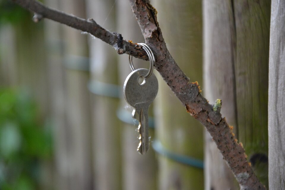 Fence nature plant