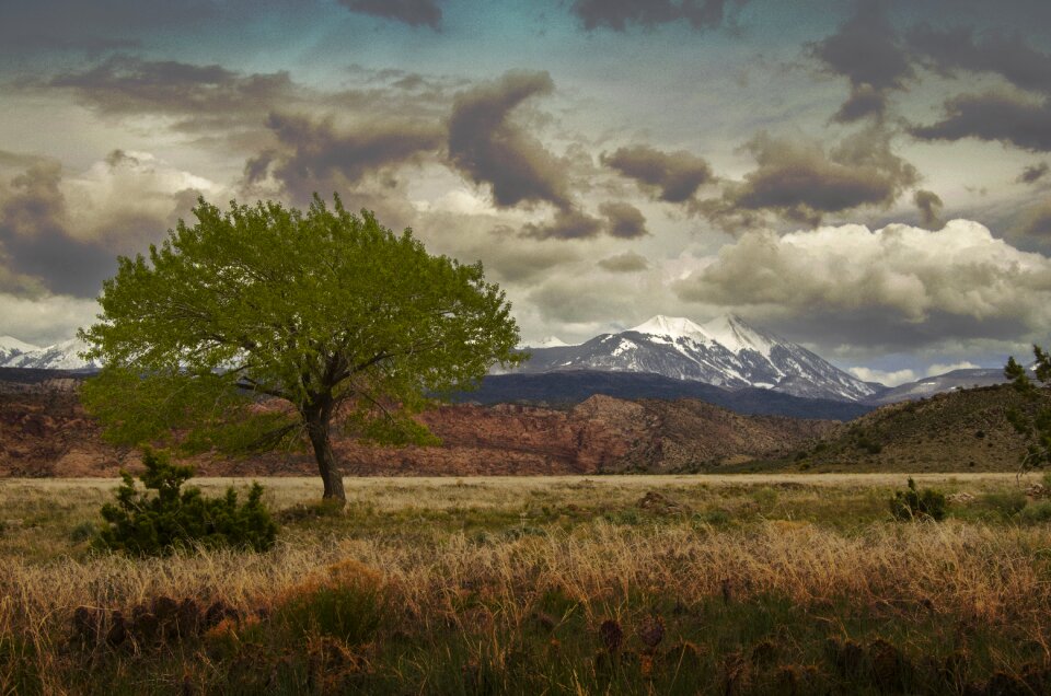 Sky grass outdoors