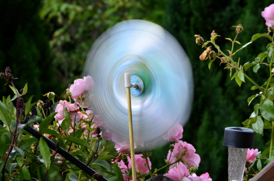Runner windmill garden