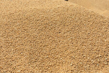 Sand dry farmer