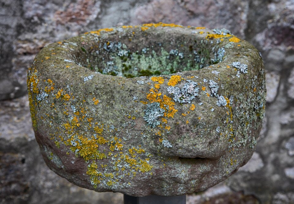 Victim shell stone basin pool