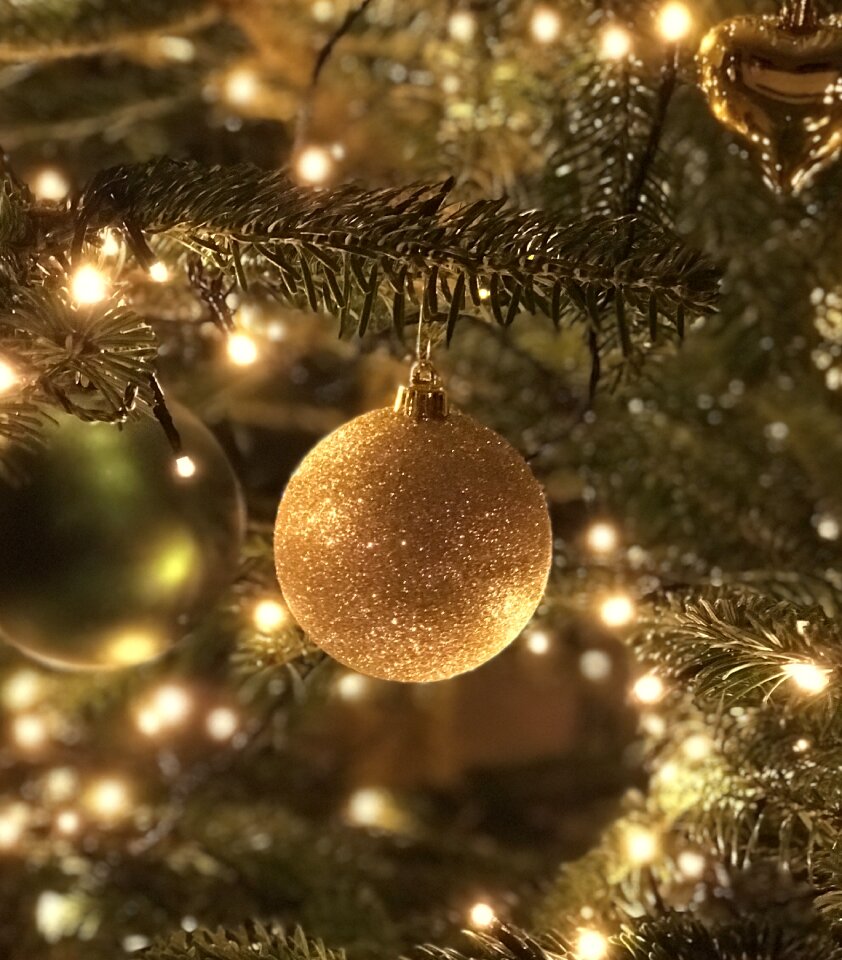 Ball shiny cheerful
