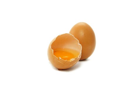 Protein egg yolk eat photo