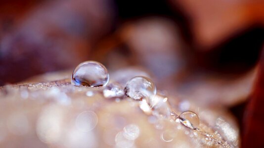 Close up drop of water macro photography