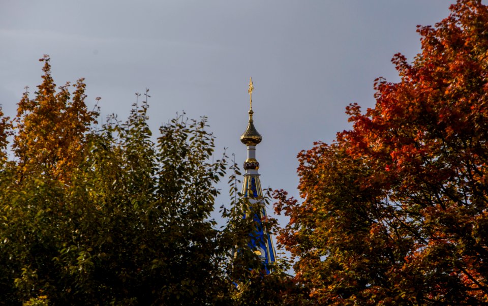 IMG_7729