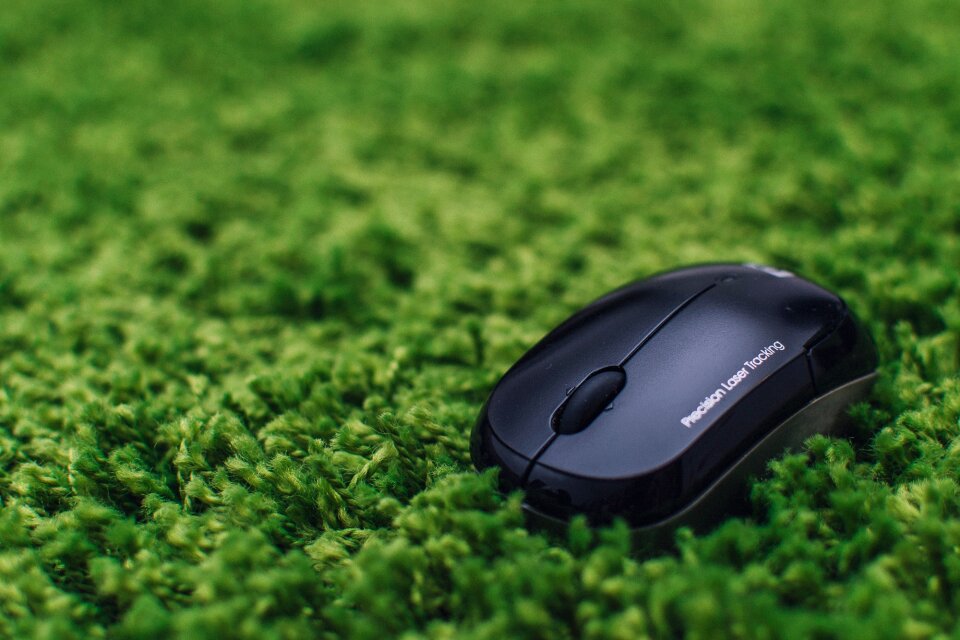 Computer green green business