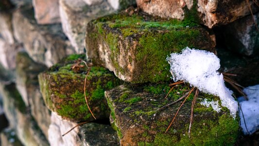 Nature outdoors brick