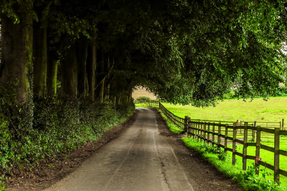 Farm nature england