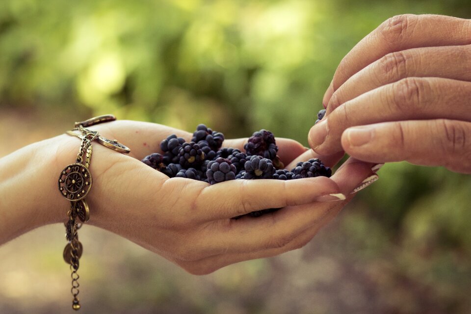 Food people berry