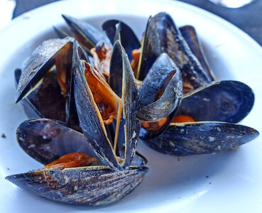 Delicacy food dining