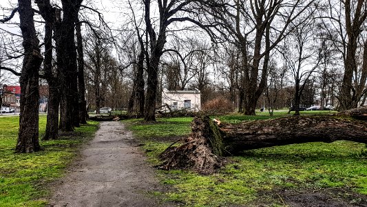 2020.gada 13.marts, Liepājā.