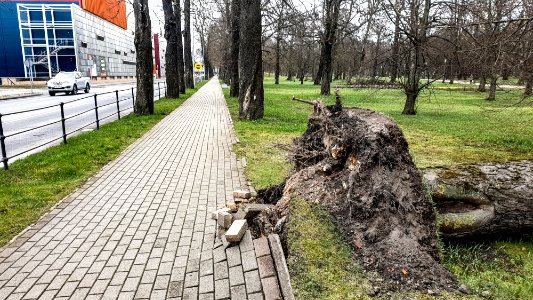 2020.gada 13.marts, Liepājā.