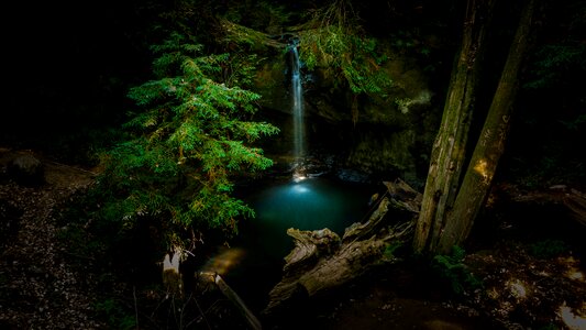 Forest waterfall water photo