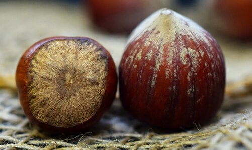 Healthy round close up