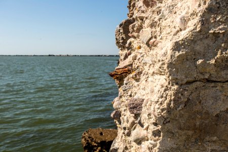 IMG_5024