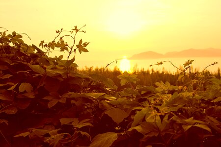 Evening sky glow nature photo