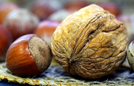 Nutshell healthy eat