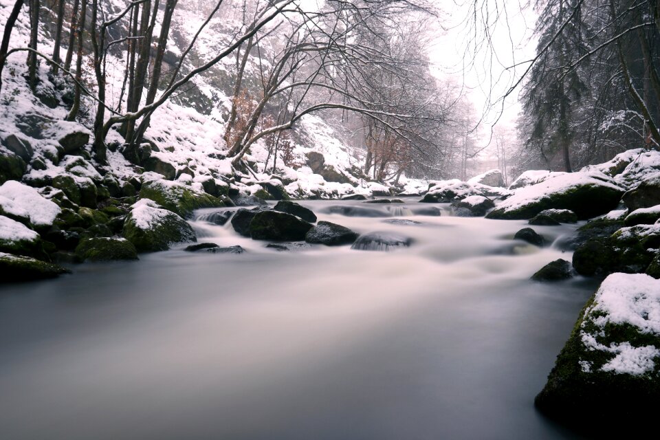 Tree ice landscape photo