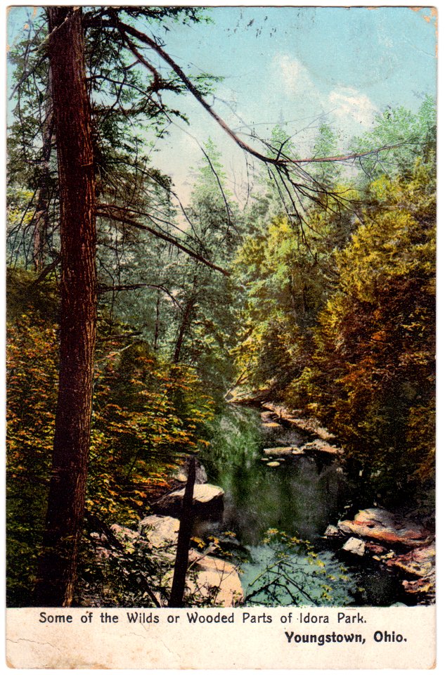 Some of the Wilds and Wooded Parts of Idora Park, Youngsto…