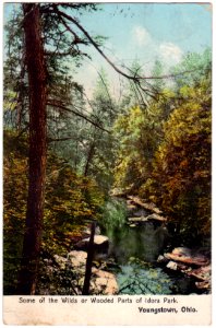 Some of the Wilds and Wooded Parts of Idora Park, Youngsto…
