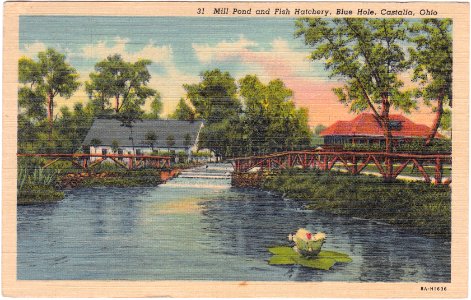 Mill Pond and Fish Hatchery, Blue Hole, Castalia, Ohio (Da… photo