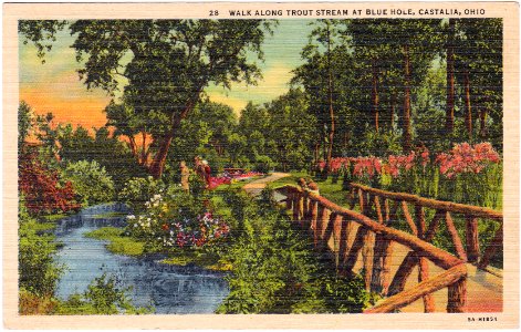 Walk Along Trout Stream at Blue Hole, Castalia, Ohio (Date…