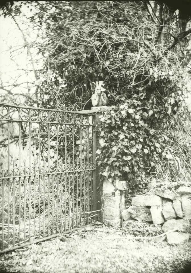 Petzval lens-Dry Plate British Half Plate camera
