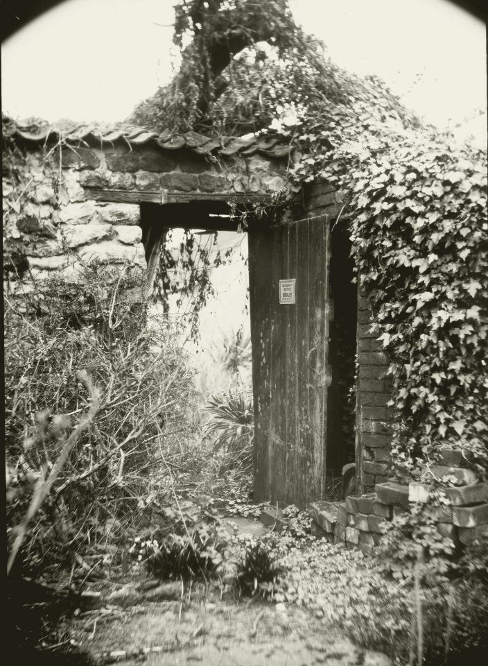 Petzval lens-Dry Plate