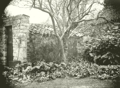 Petzval lens-Dry Plate