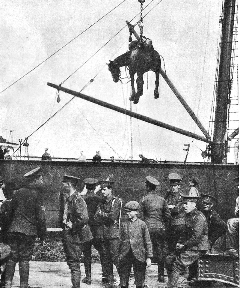 1914 Agosto - Caballo británico desembarca en Francia