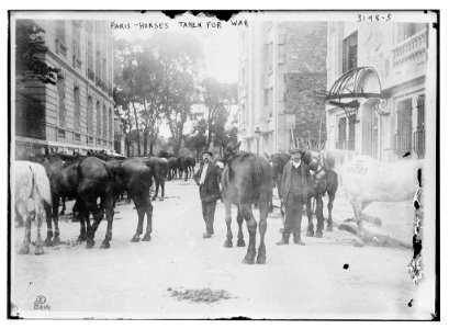 Paris entre 1914-1915 confiscación de caballos