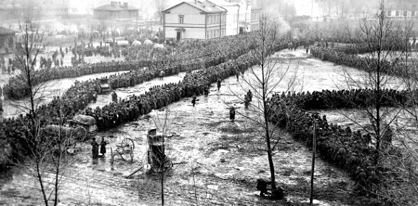 1914 Rusos prisioneros en Tannenberg photo