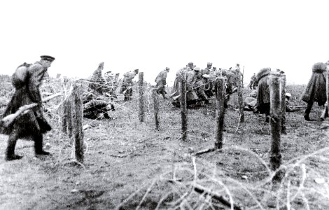 1914 Rusos cortan alambres de púas en Zamosc-Komarów photo