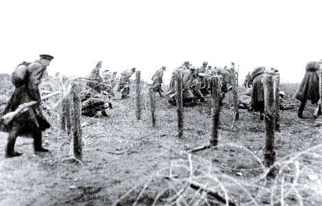 1914 Rusos cortan alambres de púas en Zamosc-Komarów