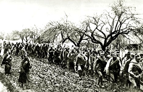 Prisioneros austriacos escoltados por rusos