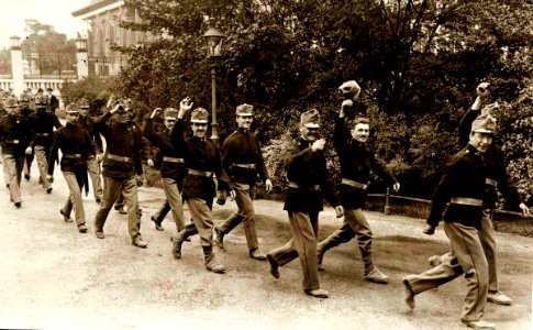Movilización del Ejército de Austria. Marcha por el Monume… photo