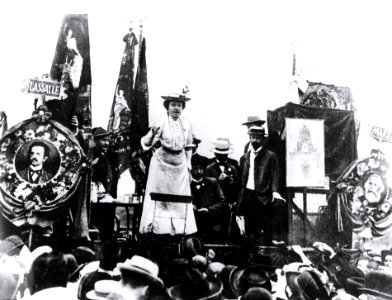 Rosa Luxemburgo contra la guerra photo