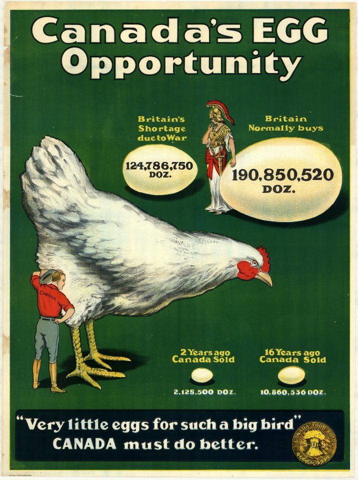 Canada's egg opportunity