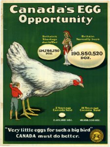Canada's egg opportunity photo