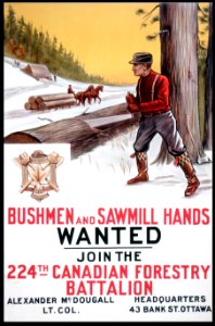 Bushmen and Sawmill Hands Wanted photo