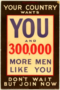 Your Country Wants You and 300,000 more men like you