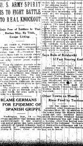 “BLAME GERMANS FOR EPIDEMIC OF SPANISH GRIPPE” photo