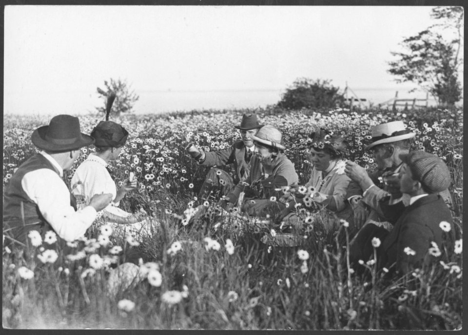[Picnickers in a field of flowers]