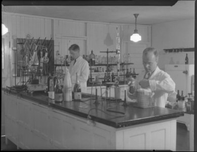 Laboratory at Canadian Wineries Ltd., A. McKim and Co.